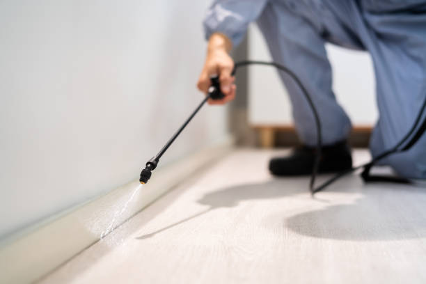 Licensed Termite Control service in Philo, IL - Nex Pest Control