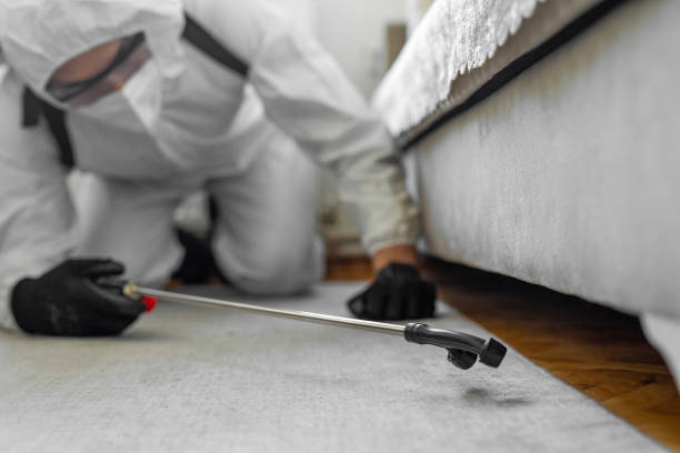 Professional Termite Control technician working in Philo, IL