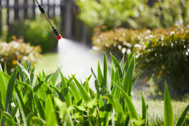 24/7 Emergency Termite Control experts in Philo, IL