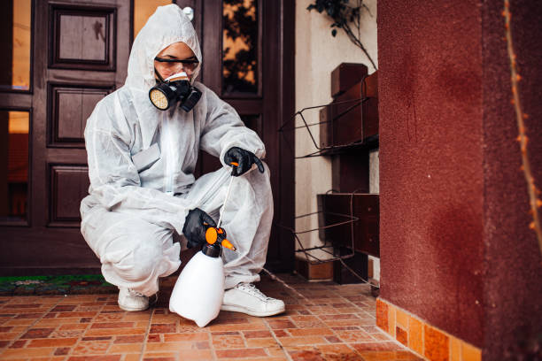 Reliable Termite Control contractor in Philo, IL by Nex Pest Control
