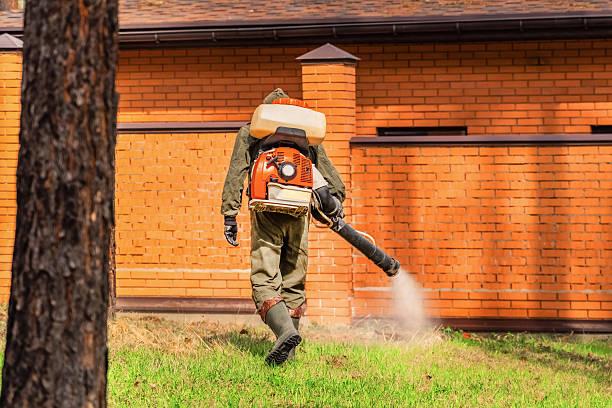 Top rated local Termite Control specialists in Philo, IL